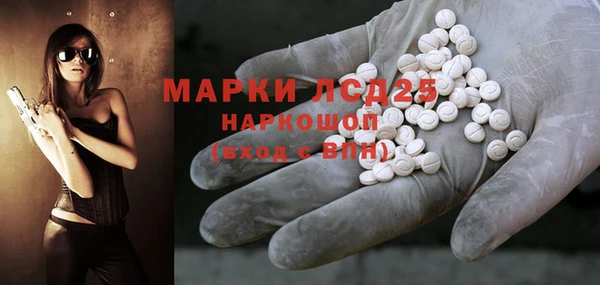 индика Верея