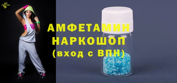 индика Верея