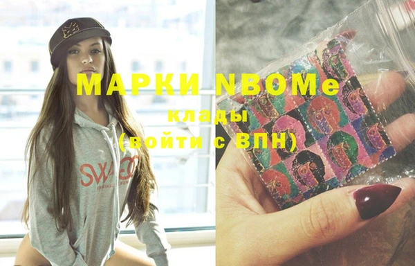 индика Володарск