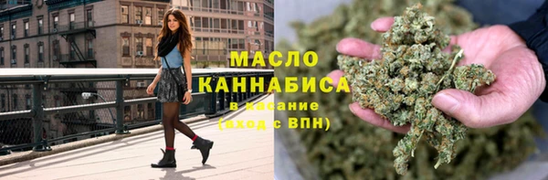 индика Верея