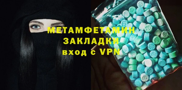 индика Володарск