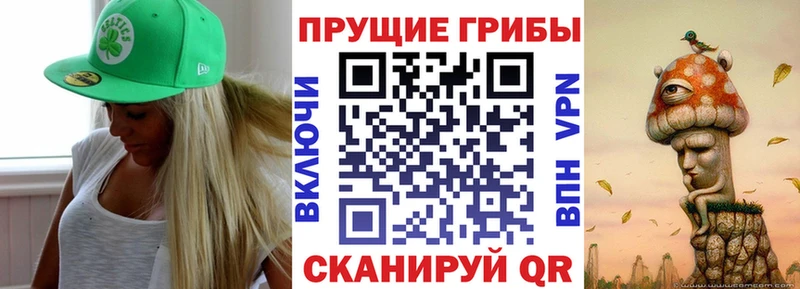 Псилоцибиновые грибы ЛСД закладки Иннополис