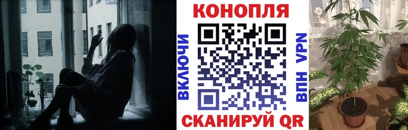 купить закладку  Иннополис  Марихуана VHQ 